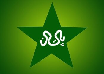 Reports: Controversial DRS decision against Mohammad Rizwan prompts PCB to address umpiring and technological concerns to ICC