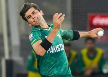 Pakistan tour of New Zealand 2024 T20I series schedule