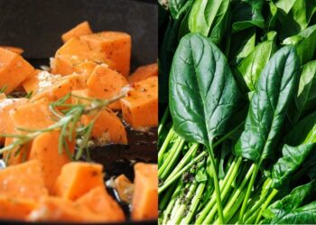 Exploring The Roles Of Macros And Micros In Your Diet
