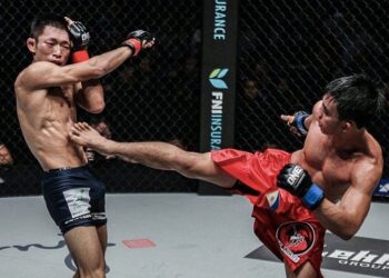 7 Underused & Underrated Techniques In MMA You Need To Know