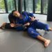 The Turtle Fortress And Turtleplata In BJJ