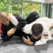 5 Reasons Why The Arm Crush Is A Must-Learn Move In BJJ